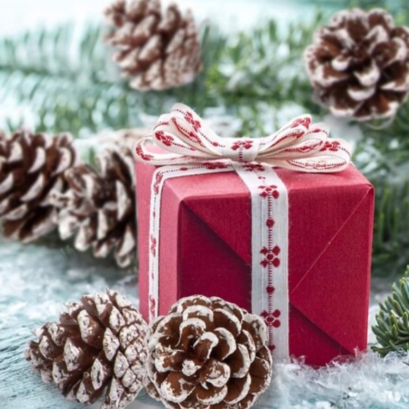 Christmas Pine Cones Berry Branch Ornament With Snow - Picture 1 of 8